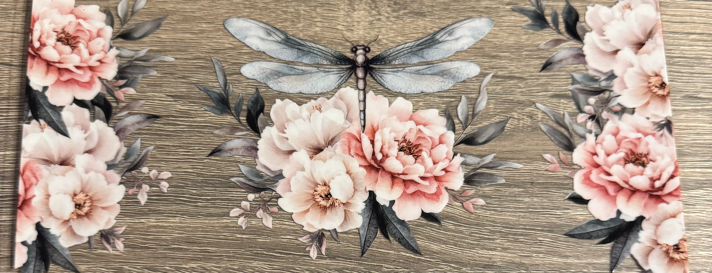 Insects - 25