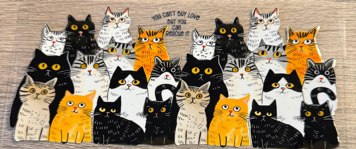 Cats - 2