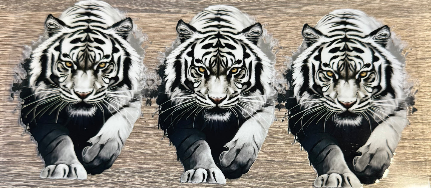 Animal - 23