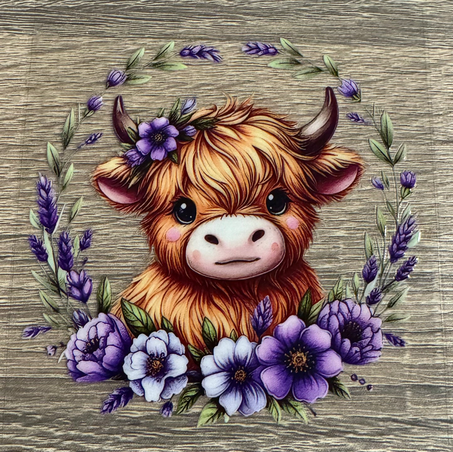 Cow - 13