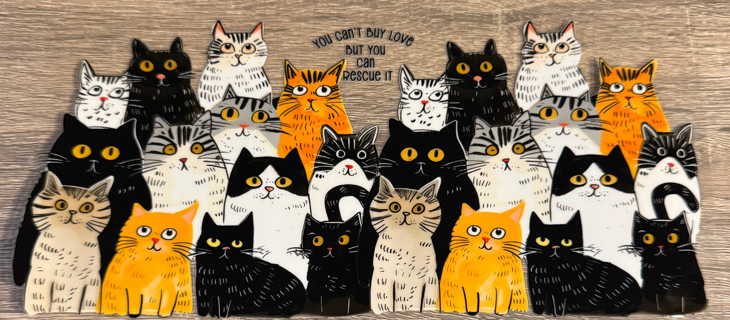 Cats - 8