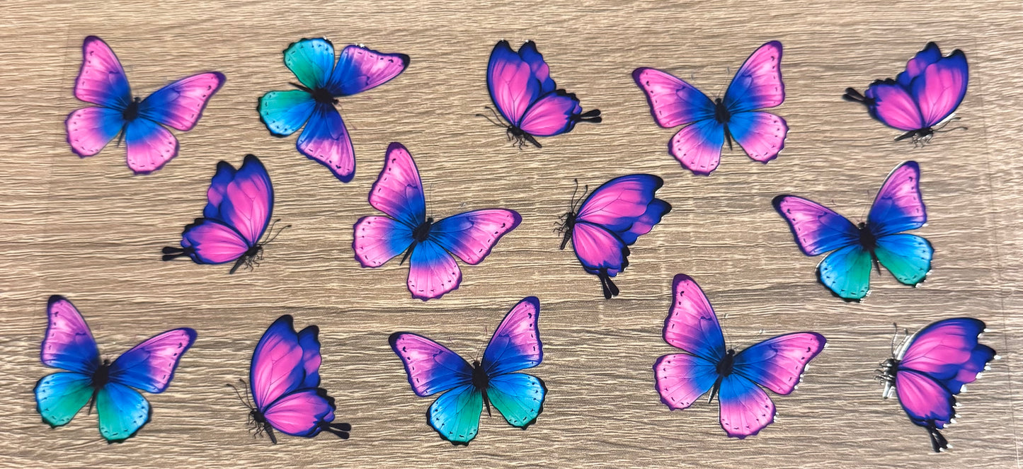 Insects - 16