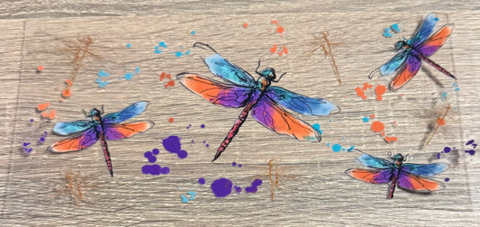 Insects - 10