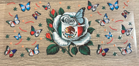 Español - 17