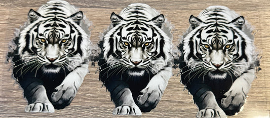 Animal - 23