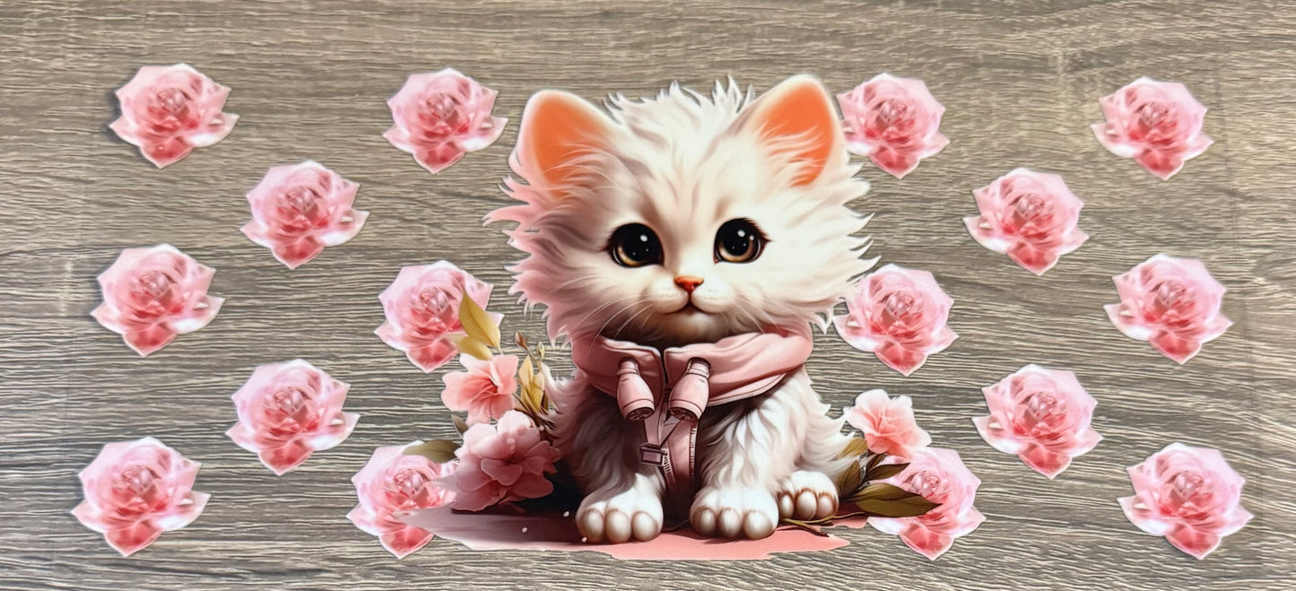 Cats - 6