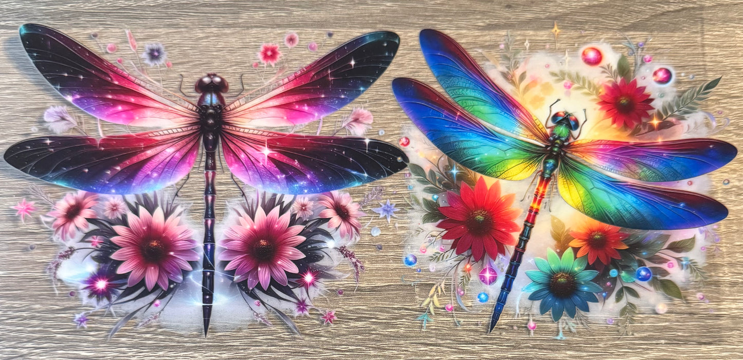 Insects - 13