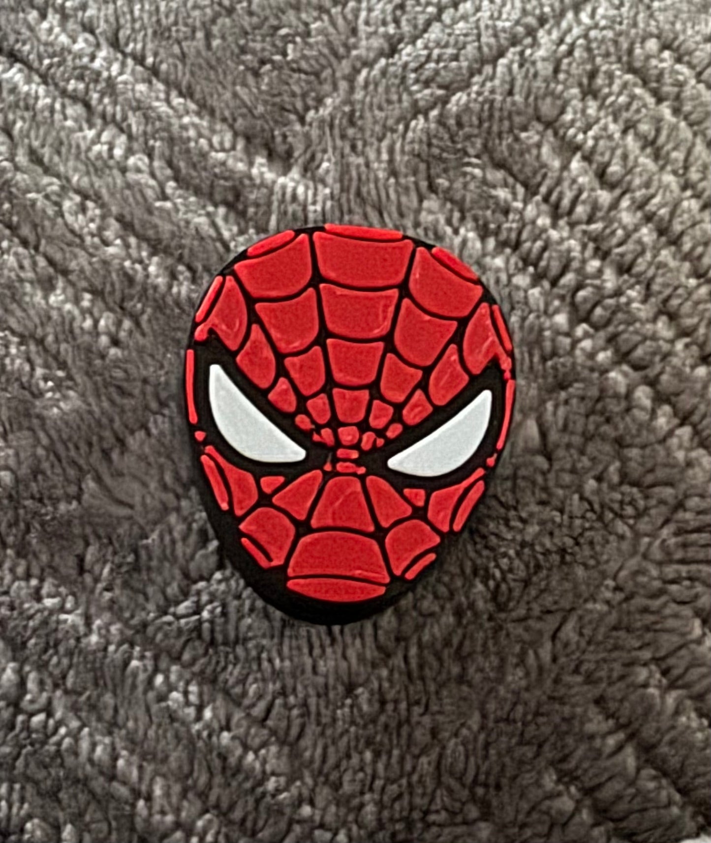 Spider Guy