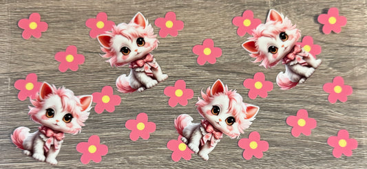 Cats - 7