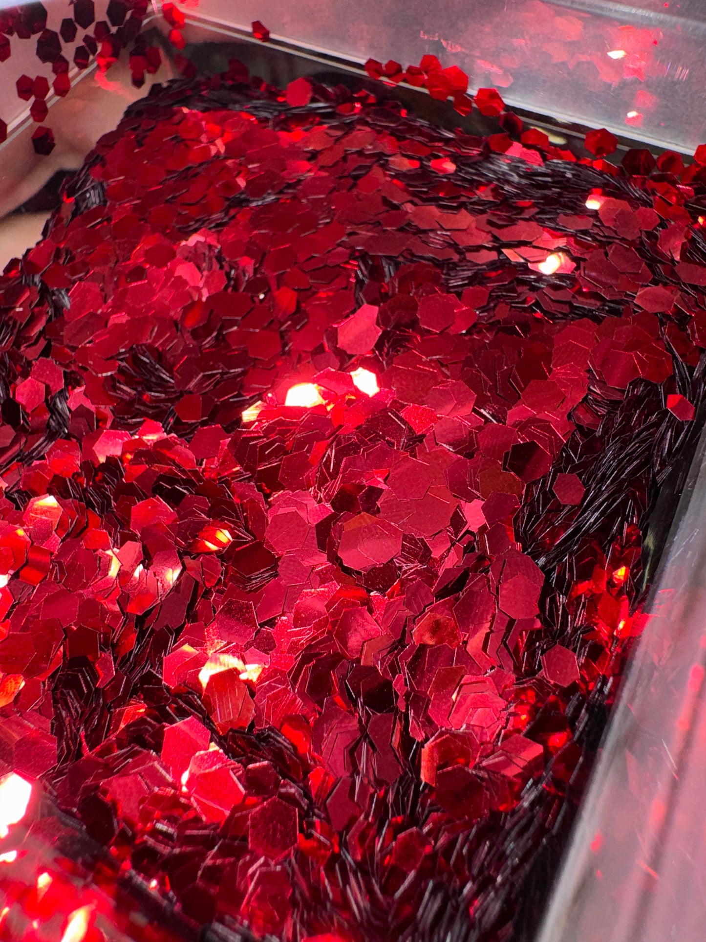 Ruby Red Slippers