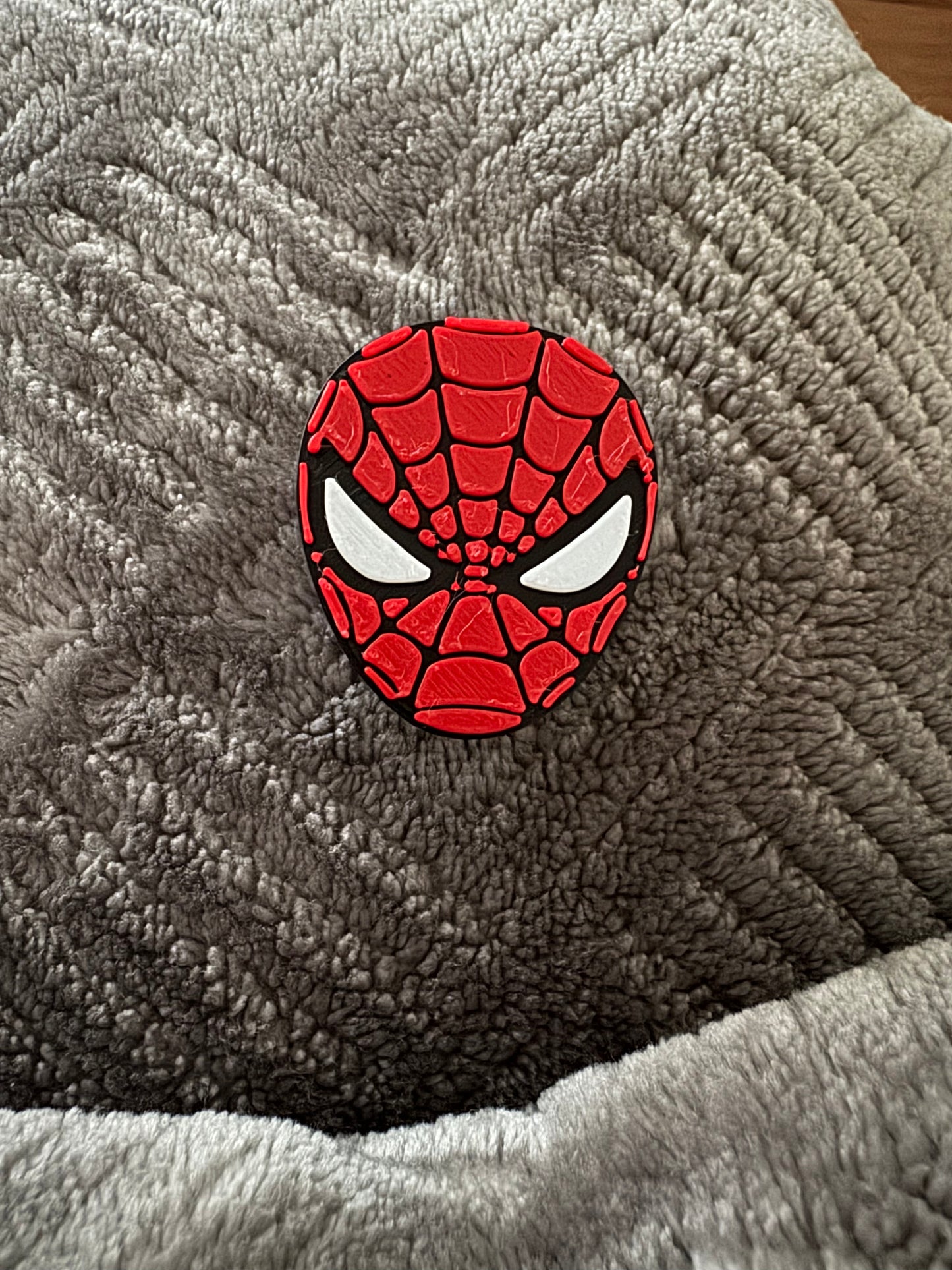 Spider Guy